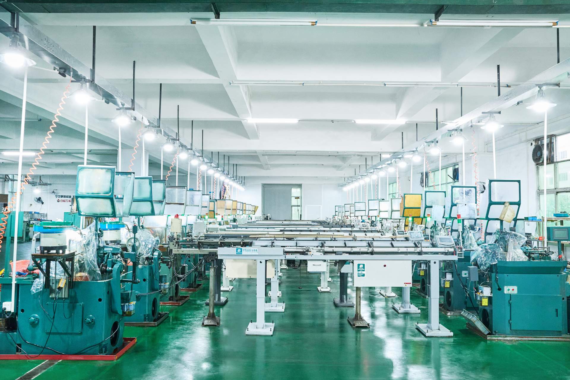 Wide view of the production line